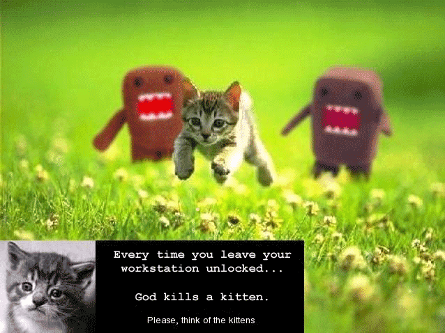 Think of the kittens! Lock your workstation!